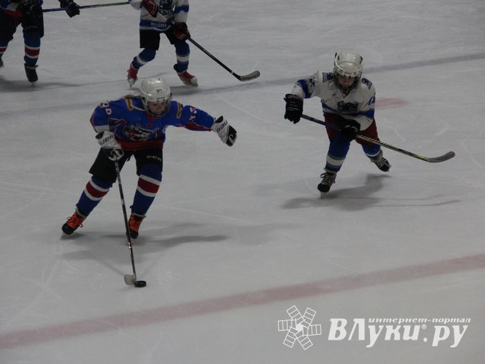 В Великих Луках прошел детский Открытый турнир по хоккею (ФОТО)