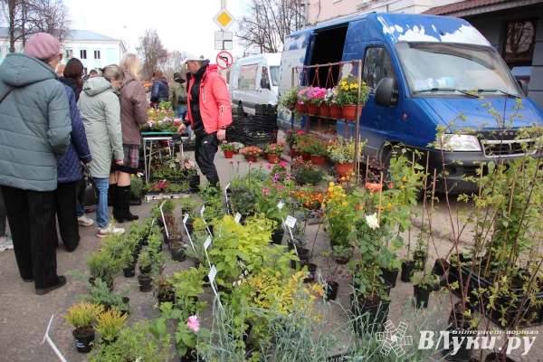 Завтра в Великих Луках пройдёт весенняя ярмарка