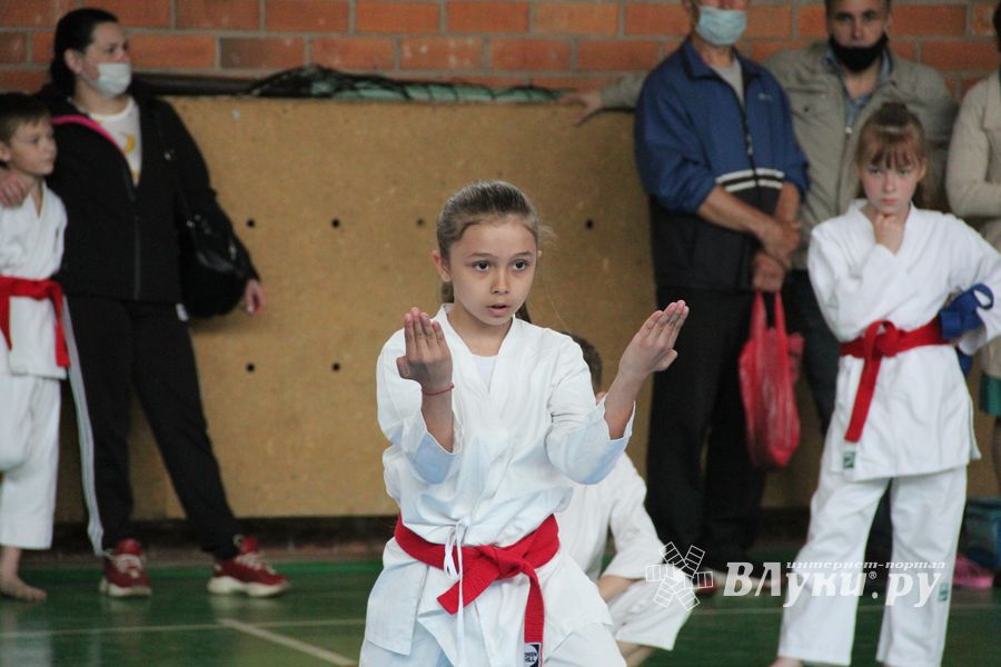 Открытый Кубок города Великие Луки по каратэ WKF (ФОТО)