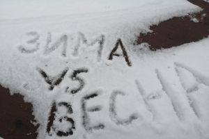 © ВЛуки.ру