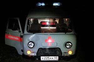 В Великолукском районе лось спровоцировал ДТП (ФОТО)