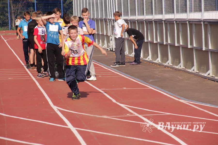 В Великих Луках состоялись соревнования «Шиповка юных» (фото)
