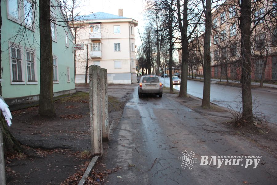 В Великих Луках дерево упало на проезжую часть 