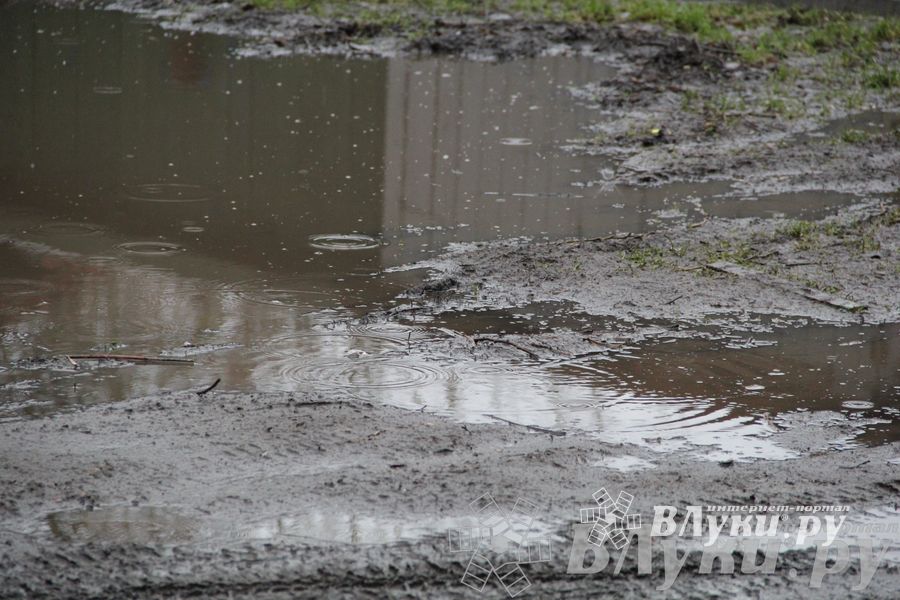 Этот странный январь