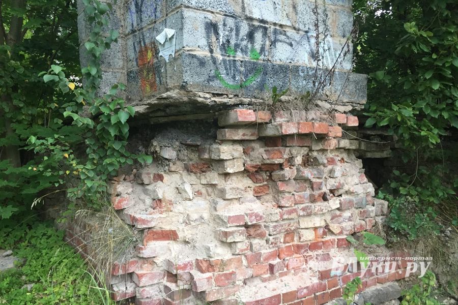 Великолучанам предлагают обходить улицу Евгения Клевцова (ФОТО)