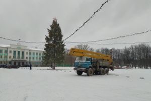 Главную новогоднюю ёлку в Великих Луках нарядили к праздникам (ФОТО)