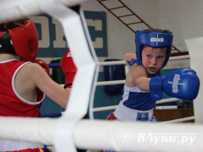 Юные великолучане выявили сильнейших боксёров (ФОТО)