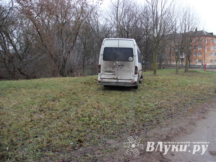На улице Пушкина водитель врезался в дерево (ФОТО)