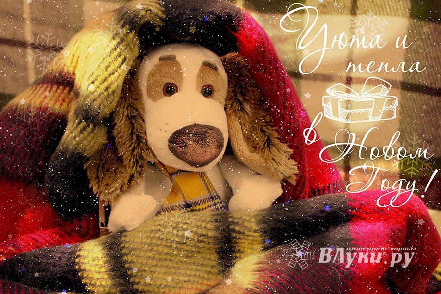 Пора покупать тёплые и яркие новогодние подарки (ФОТО)