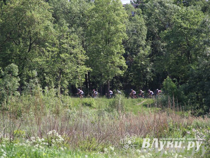Первенство Псковской области по велогонкам