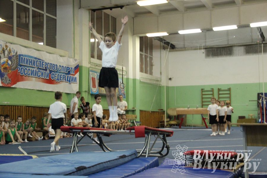 В Великих Луках состоялось Первенство по командной гимнастике (фото)