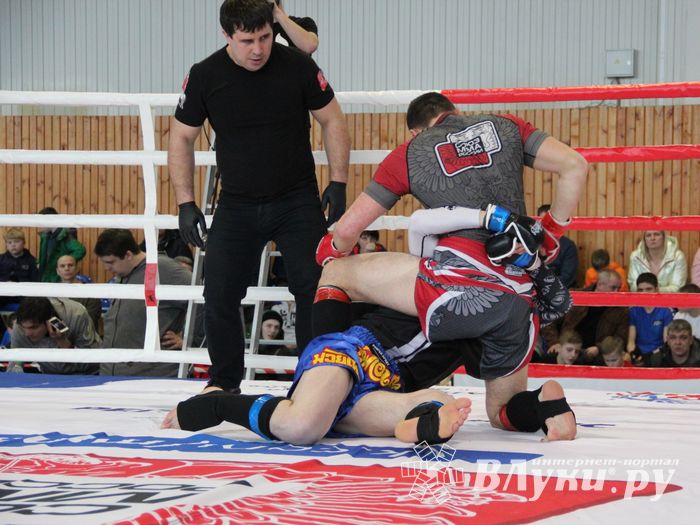 Открытый кубок по смешанному боевому единоборству ММА прошел в Великих Луках (ФОТО)