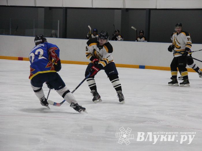 Великолукские хоккеисты одержали победу на домашнем льду (ФОТО)