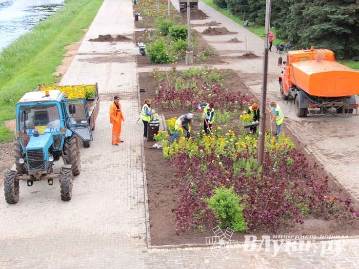 В Великих Луках сажают, стригут и красят (ФОТО)