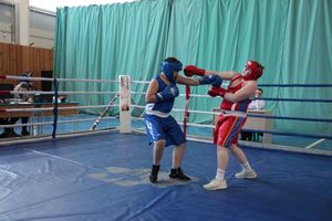 Фестиваль боевых искусств прошел в Великих Луках (ФОТО)