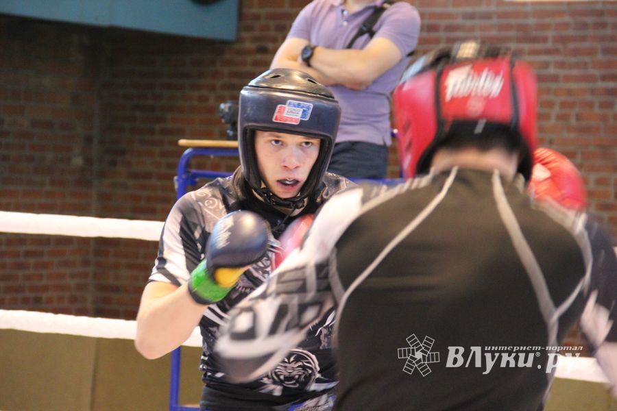 В Великих Луках прошел международный открытый Кубок по смешанному боевому единоборству (ФОТО) (16+)
