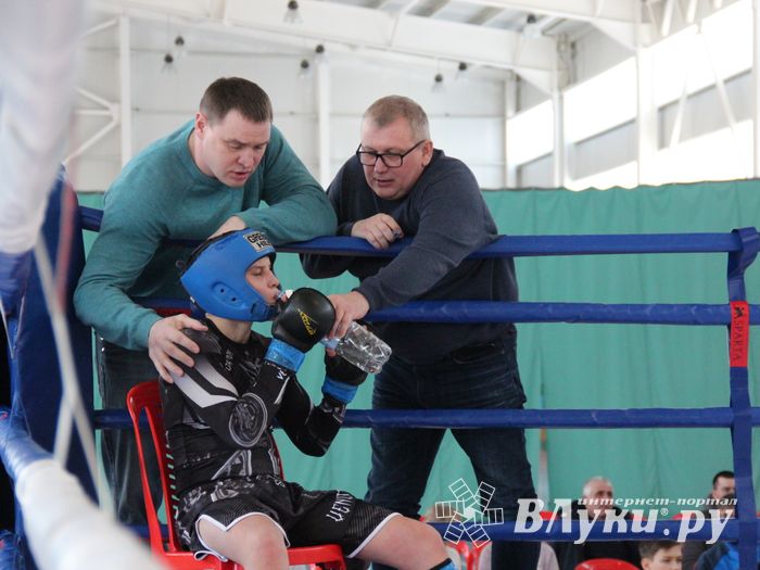 В Великих Луках проходит открытый кубок по смешанному боевому единоборству ММА (ФОТО) (12+)