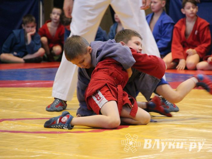 Открытый турнир по самбо «Новогодняя звезда-2019» прошел в Великих Луках (ФОТО)