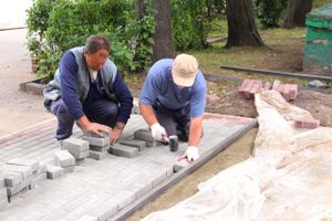 В Великих Луках сажают, стригут и красят (ФОТО)