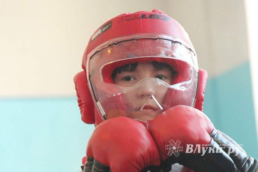 Первый чемпионат и первенство Псковской области по смешанным боевым искусствам «ММА»