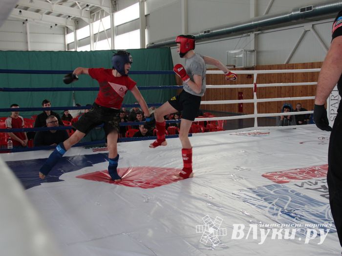В Великих Луках завершился открытый кубок по смешанному боевому единоборству ММА (ФОТО)