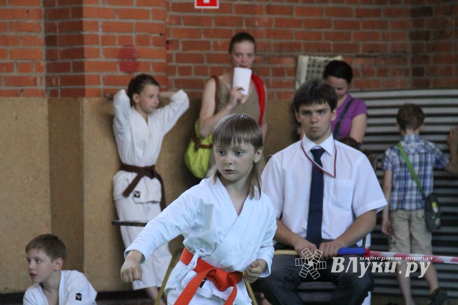 Турнир по каратэ