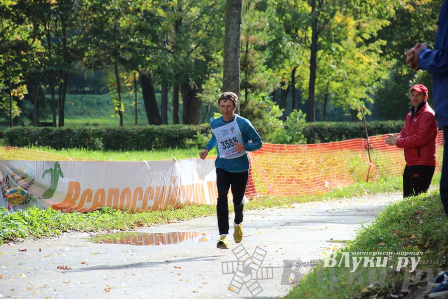 Кросс нации