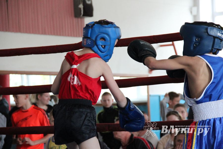 В Великих Луках прошло Первенство города по боксу (ФОТО)