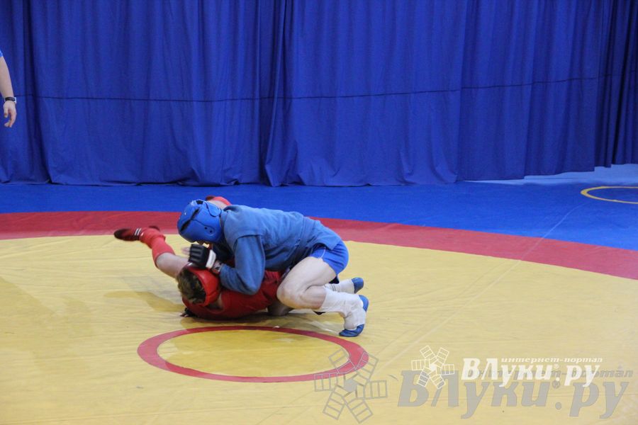 Первенство Псковской области по самбо