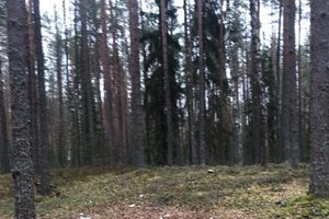 Великолукская семья навела порядок в Сенчитах (ФОТО)