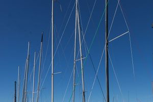 В Псковской области стартовала международная парусная регата (фото)