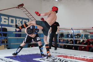 В Великих Луках прошел Чемпионат области по смешанному боевому единоборству (фото)