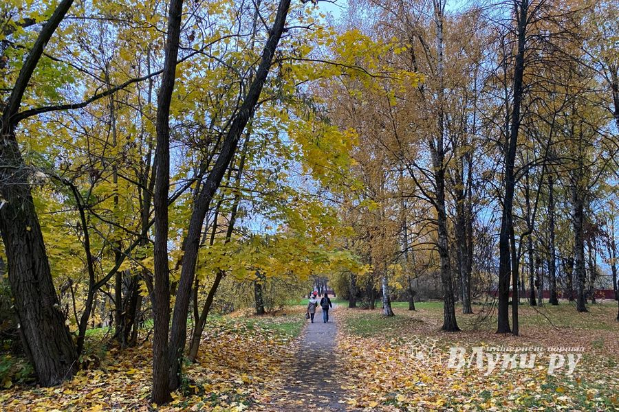 ВЛуки.ру