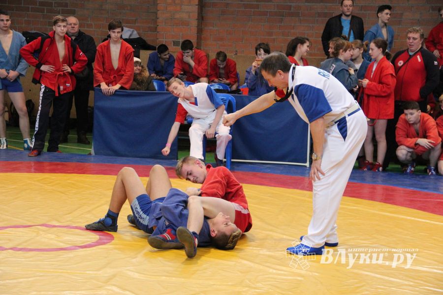 Великолукские самбисты завоевали 54 награды на Первенстве города (ФОТО)
