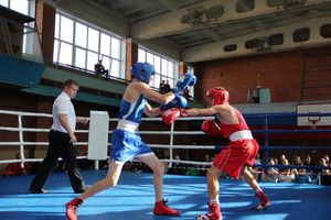 В Великих Луках прошел турнир по боксу памяти Е. Клевцова (ФОТО)