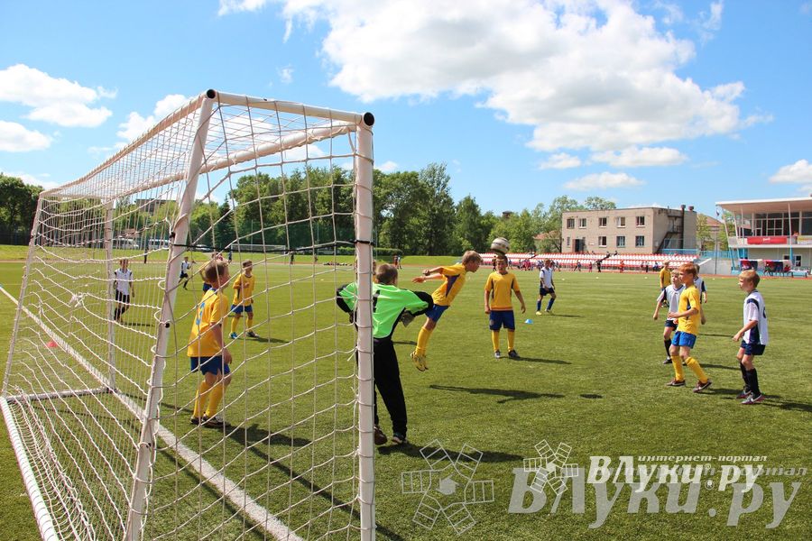 «Локобол-2013» в Великих Луках