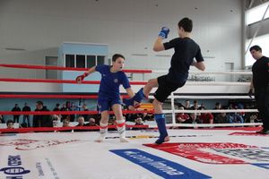 Открытый кубок по смешанному боевому единоборству ММА прошел в Великих Луках (ФОТО)