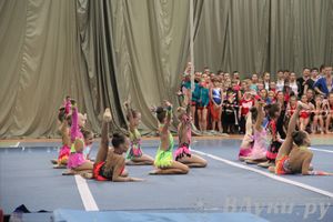 «Парад гимнастики» прошел в Великих Луках (фото)