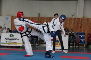 В Великих Луках состоялся Чемпионат и первенство Псковской области по тхэквондо МФТ (ФОТО)