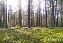 Великолучанам напоминают о необходимости регистрации туристических групп