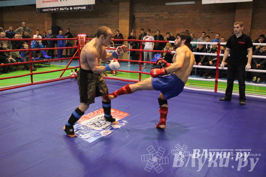 В Великих Луках прошел межрегиональный Открытый Кубок по смешанному боевому единоборству (фото)