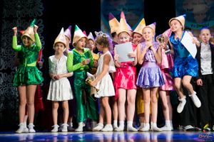 Великолучане стали призерами фестиваля-конкурса «Вдохновение. Зима» (фото)