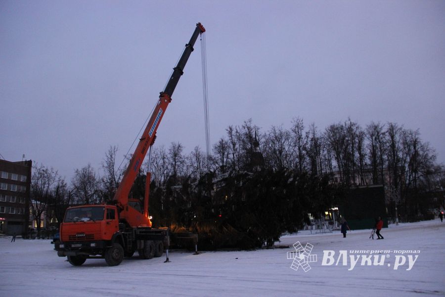 Новогодняя ёлочка приехала наконец в Великие Луки (ФОТО)