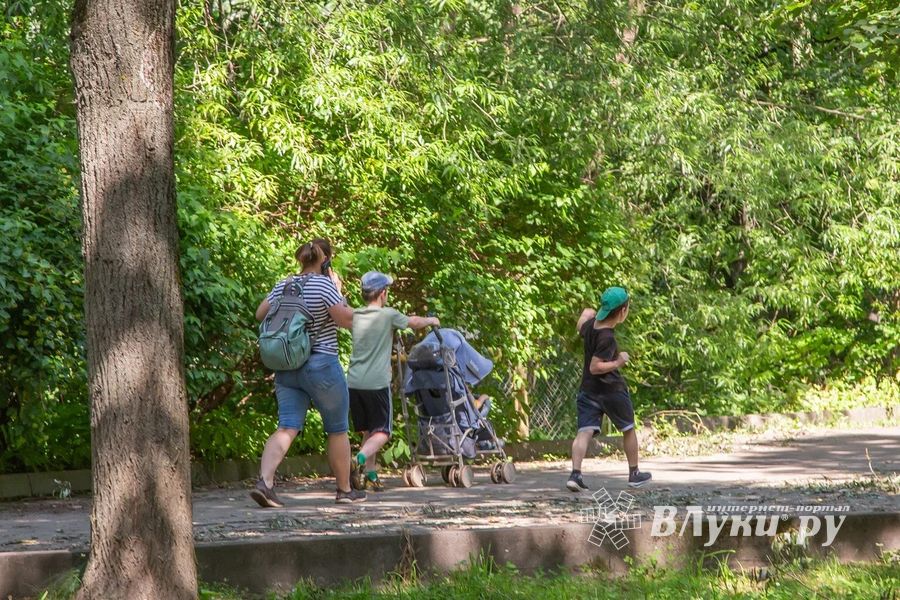 ВЛуки.ру