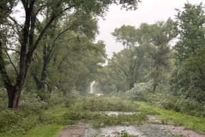 Весь ужас вчерашнего урагана в Великих Луках и районе (ФОТО, ВИДЕО)