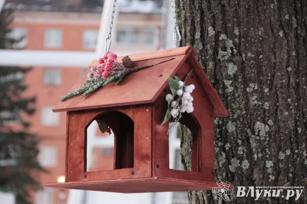 Сегодня в Великих Луках возможен снег и дождь