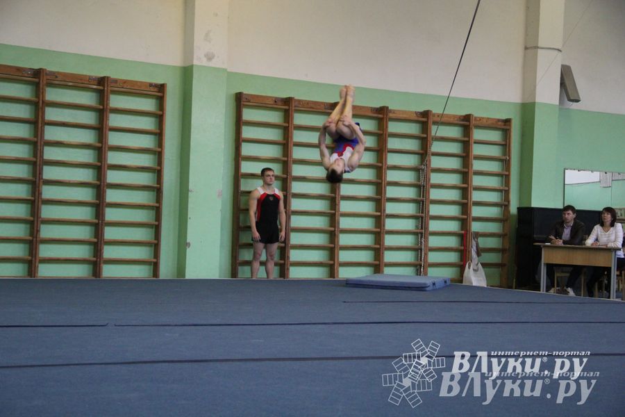 В Великих Луках состоялось Первенство города по спортивной гимнастике (фото)