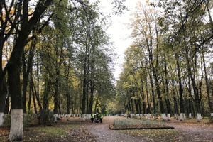 Роща «отряхает» — коммунальщики убирают (ФОТО)