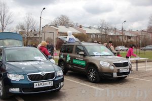 В Великих Луках прошла автомобильная ярмарка