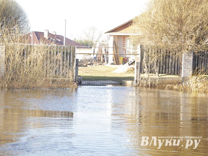 В Великих Луках продолжаются поиски мужчины, пропавшего 9 марта (ФОТО)